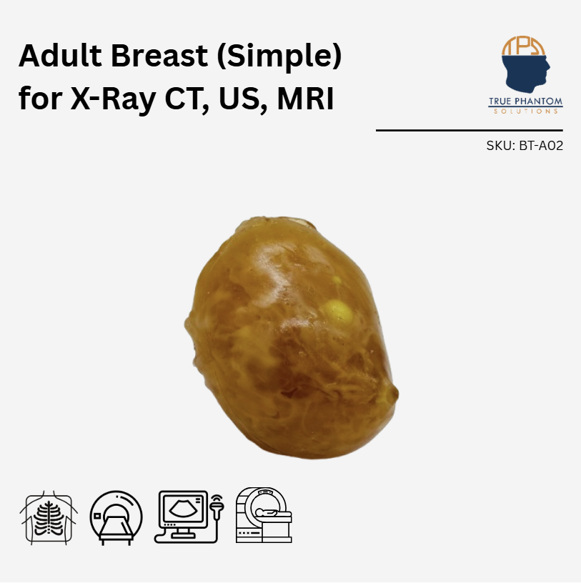 Adult Breast (Simple) for X-Ray CT, US, MRI