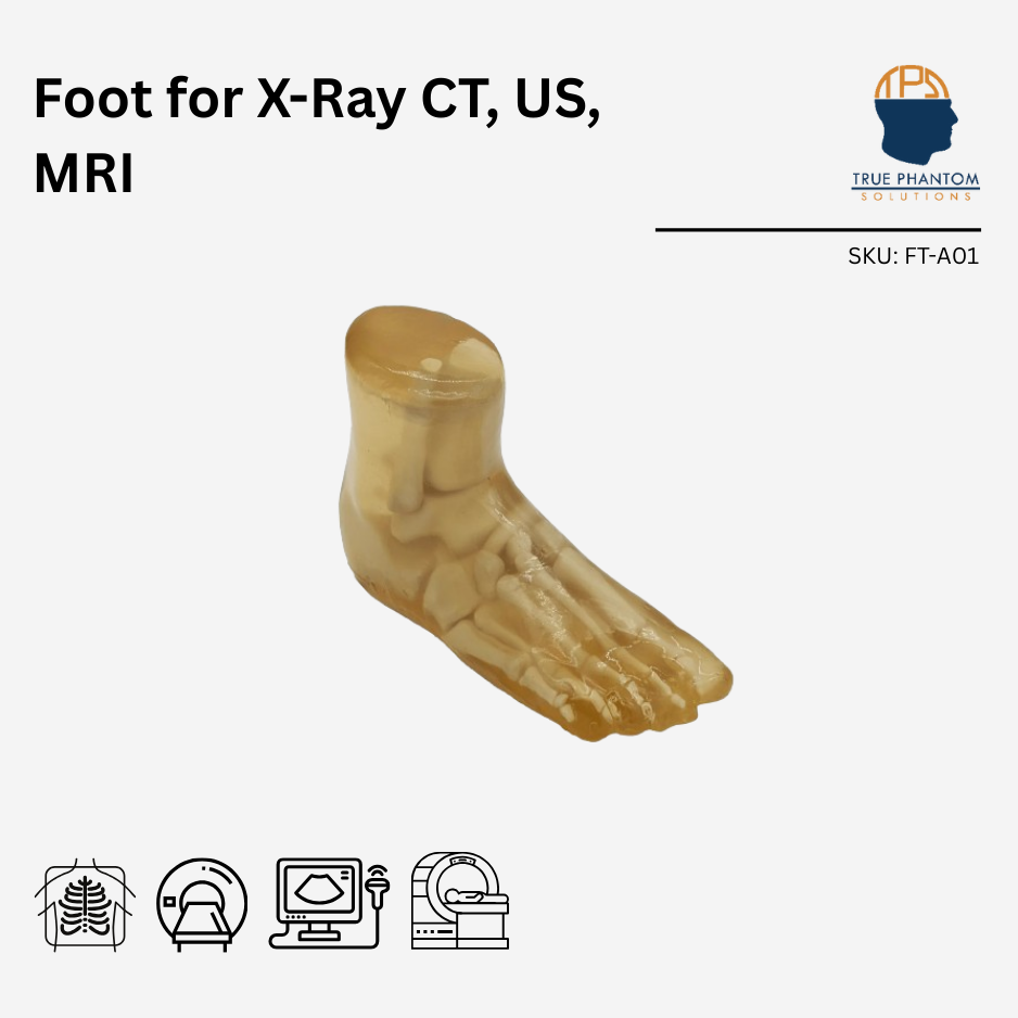 Foot for X-Ray CT, US, MRI