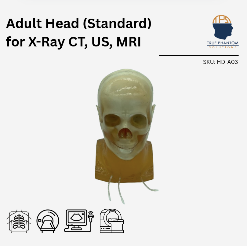 Adult Head (Standard) Phantom for X-Ray CT, US, MRI