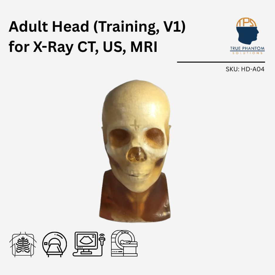 Adult Head (Training, V1) for X-Ray CT, US, MRI