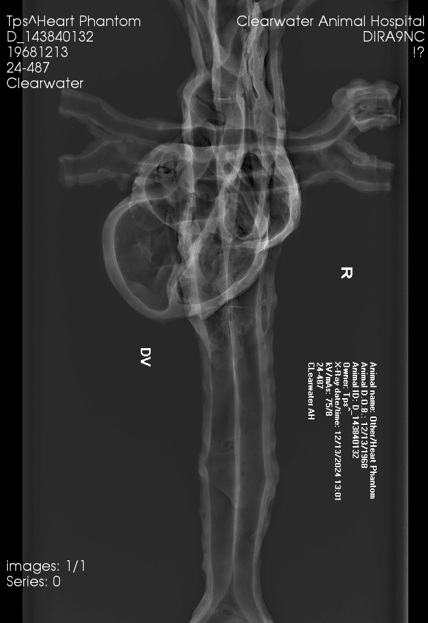 Sample scan 2
