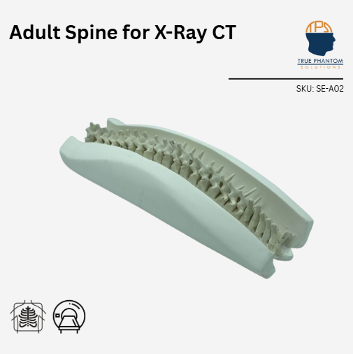 Adult Spine for X-Ray CT