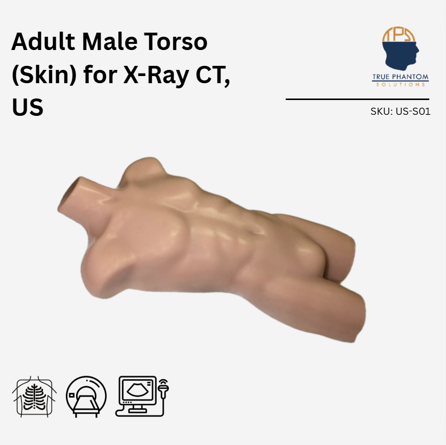 Adult Male Torso (Skin) for X-Ray CT, US