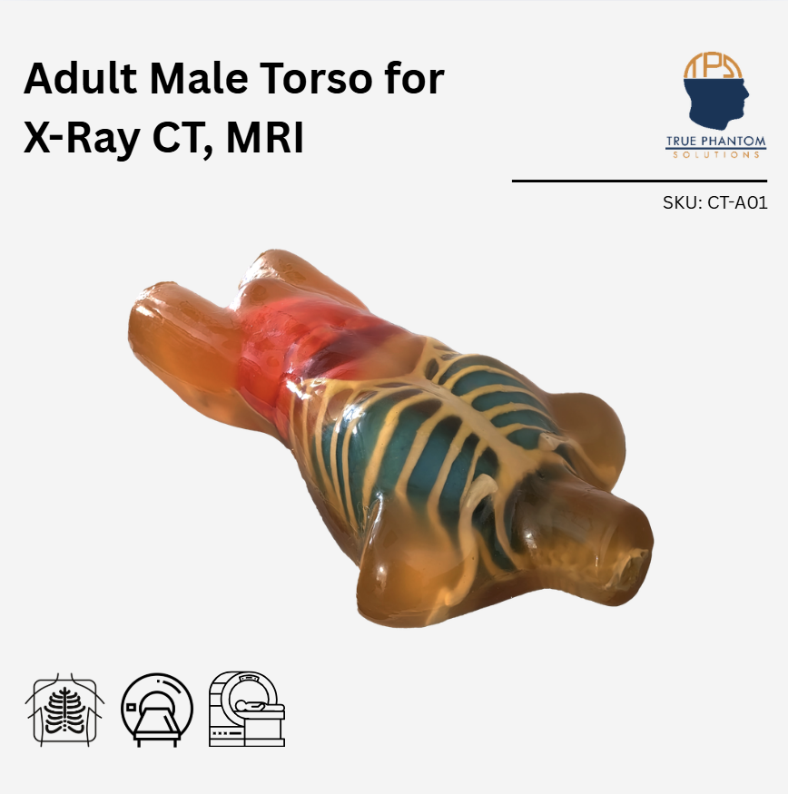 Adult Male Torso for X-Ray CT, MRI