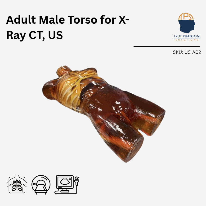 Adult Male Torso for X-Ray CT, US