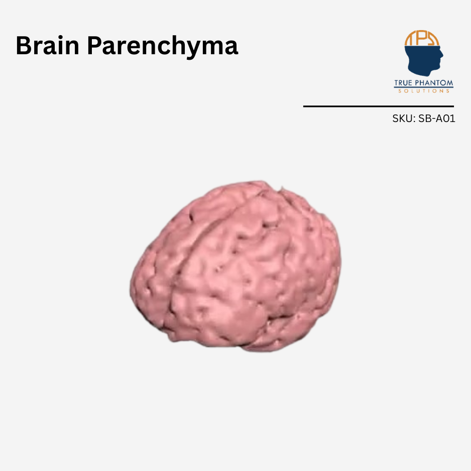 Brain Parenchyma