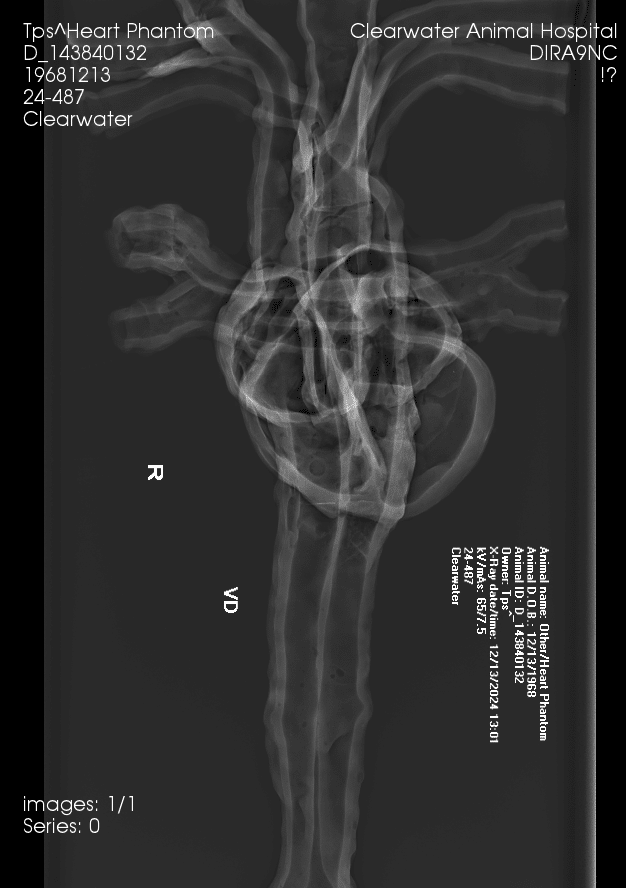Sample scan 3