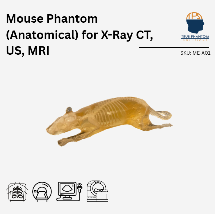 Mouse Phantom (Anatomical) for X-Ray CT, US, MRI