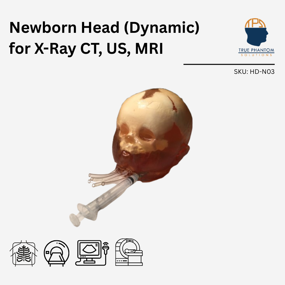 Newborn Head (Dynamic) for X-Ray CT, US, MRI