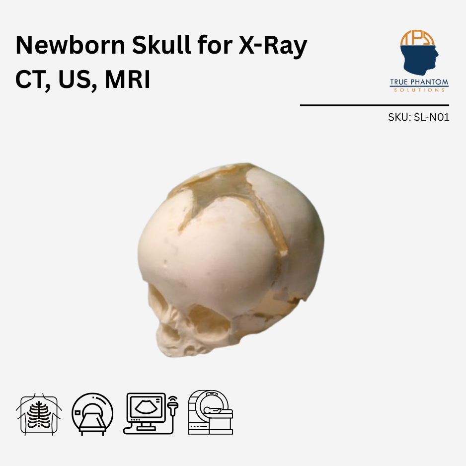Newborn Skull for X-Ray CT, US, MRI