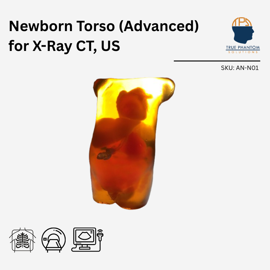 Newborn Torso (Advanced) for X-Ray CT, US