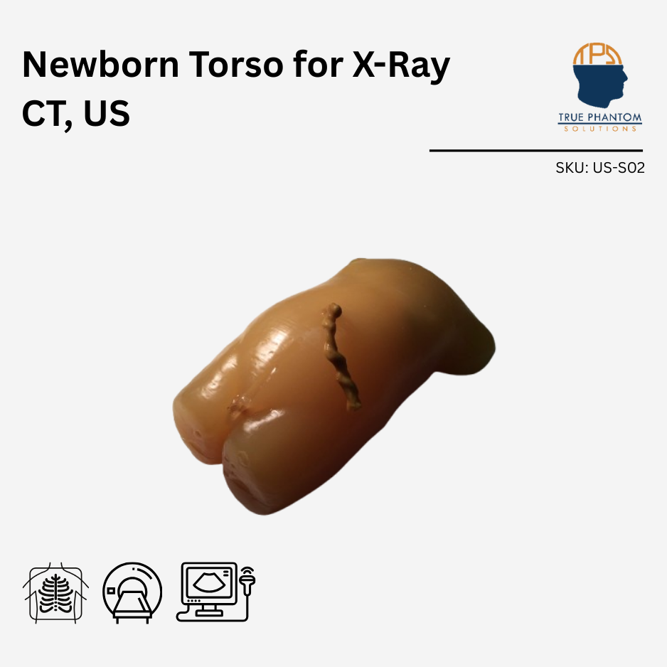 Newborn Torso for X-Ray CT, US