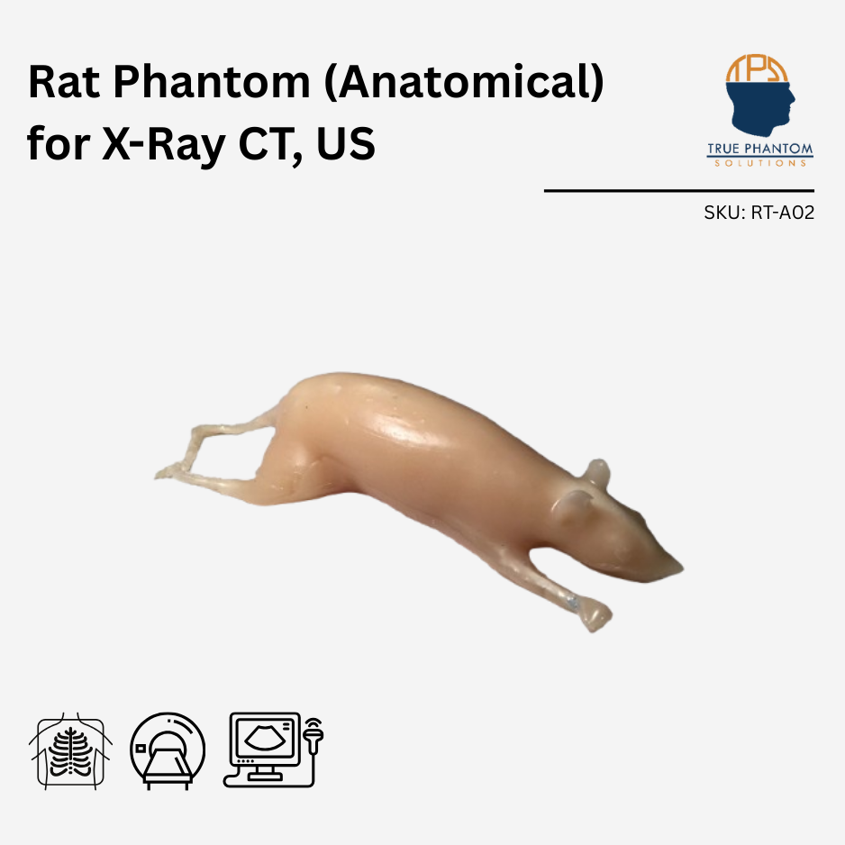 Rat Phantom (Anatomical) for X-Ray CT, US
