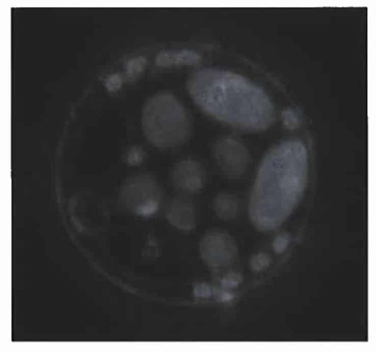 Sample scan 1