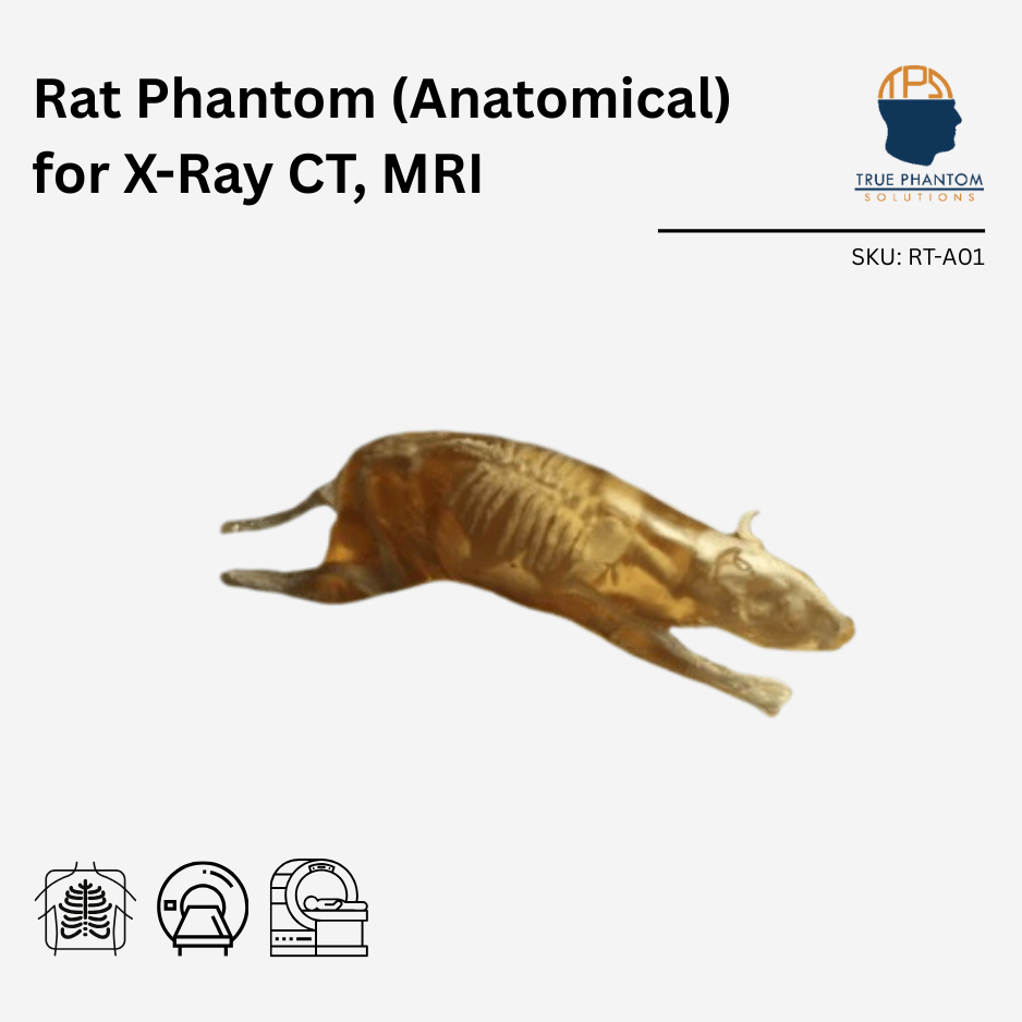 Rat Phantom (Anatomical) for X-Ray CT, MRI